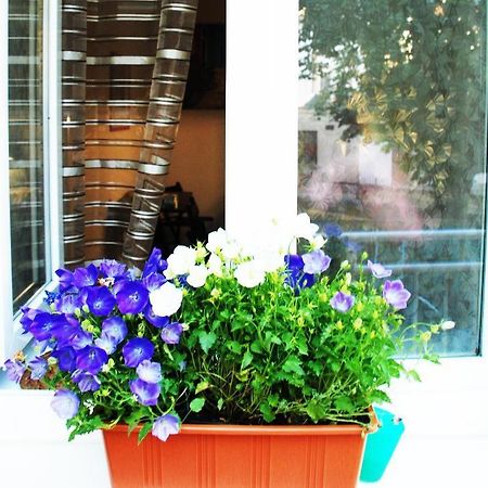 Apartment 5 Min By Walk To The Center Брно Экстерьер фото